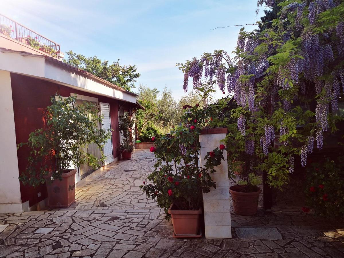 B&B Villa Lena Turi Dış mekan fotoğraf