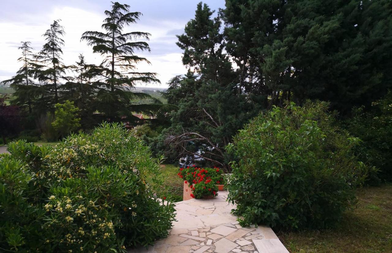B&B Villa Lena Turi Dış mekan fotoğraf