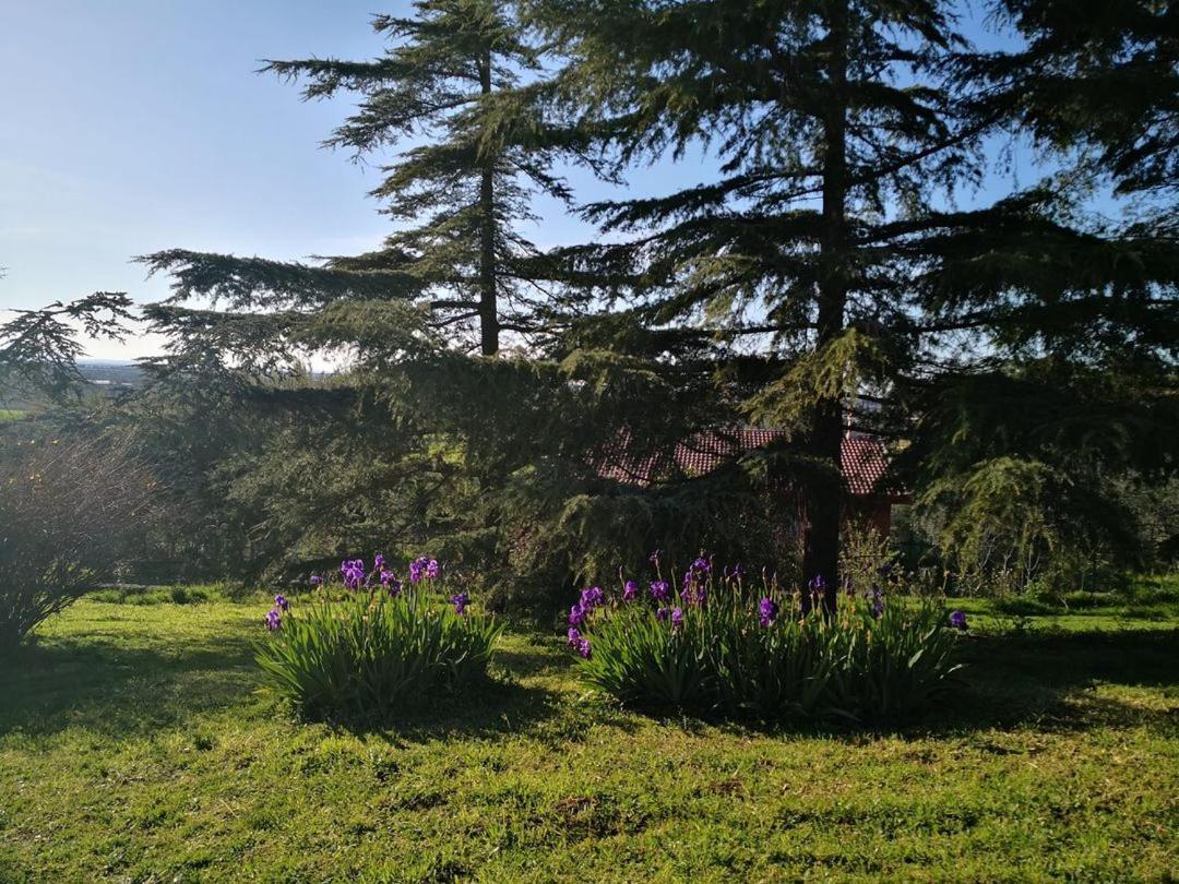 B&B Villa Lena Turi Dış mekan fotoğraf