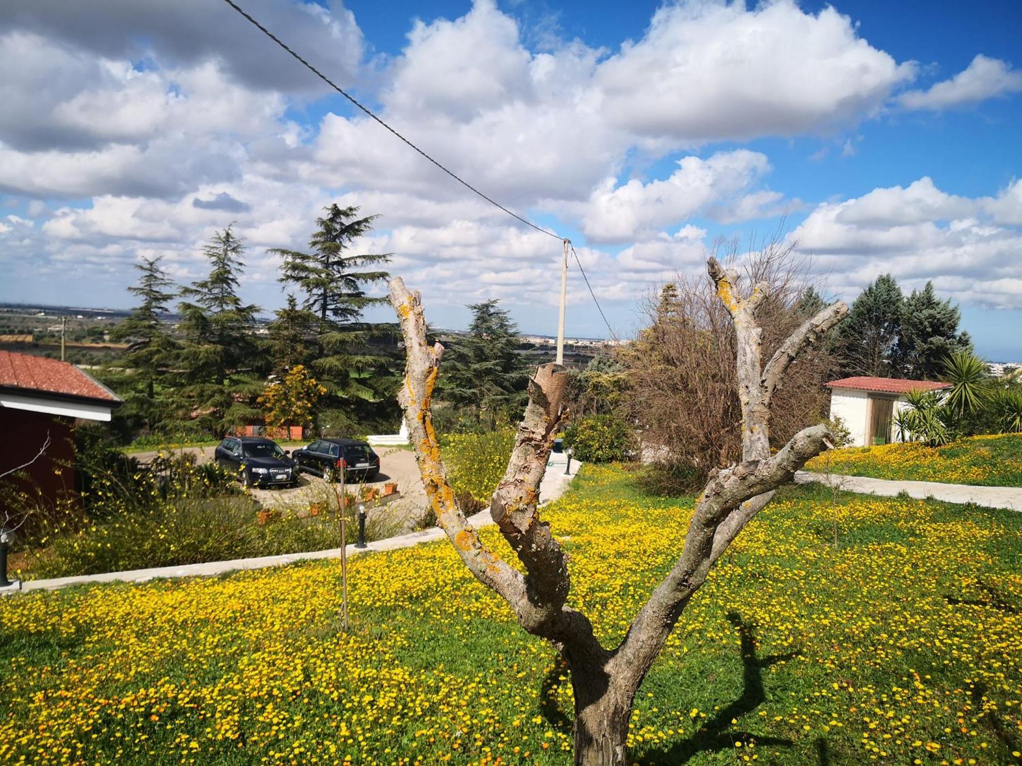 B&B Villa Lena Turi Dış mekan fotoğraf