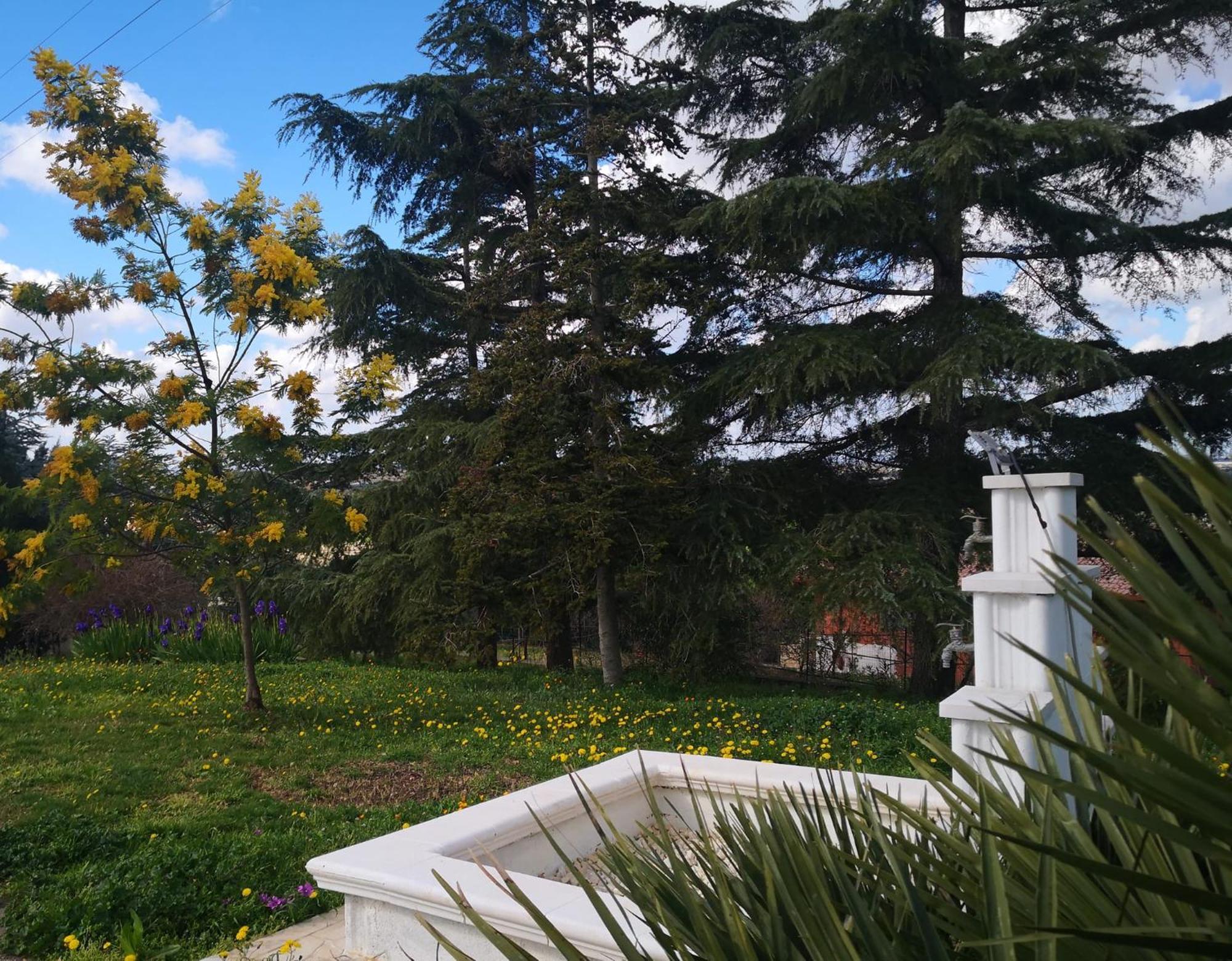 B&B Villa Lena Turi Dış mekan fotoğraf