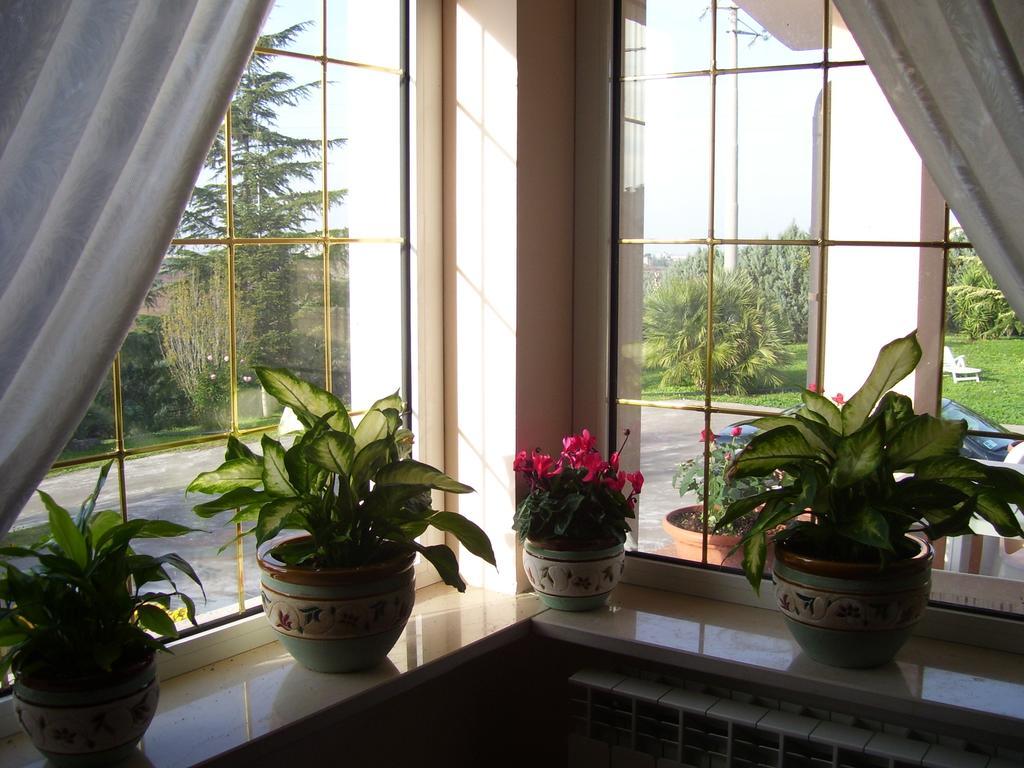 B&B Villa Lena Turi Dış mekan fotoğraf
