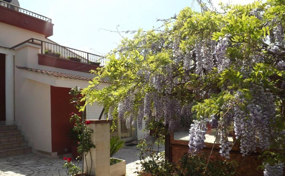 B&B Villa Lena Turi Dış mekan fotoğraf